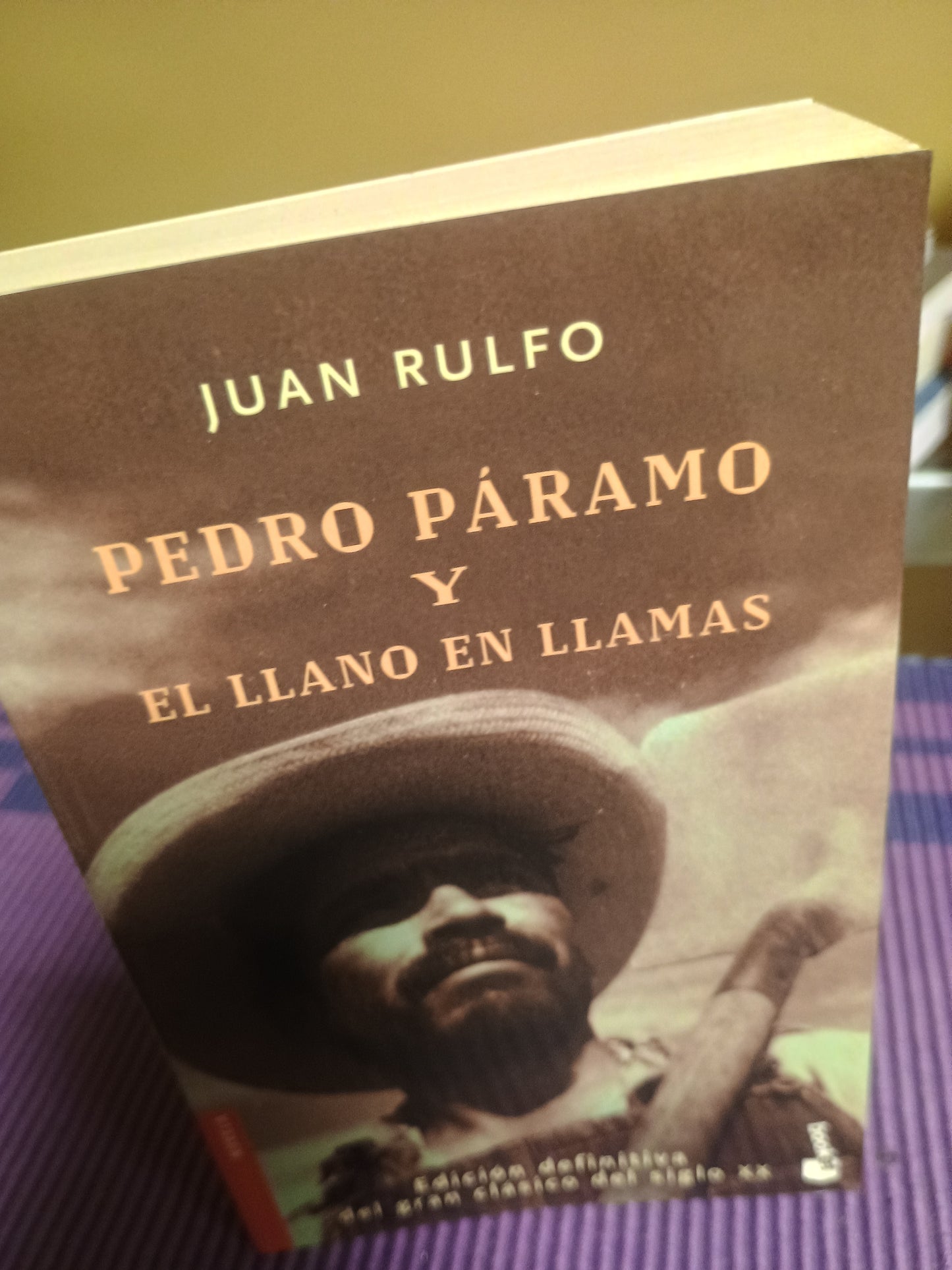 Pedro Páramo y el llano en llamas, Juan Rulfo