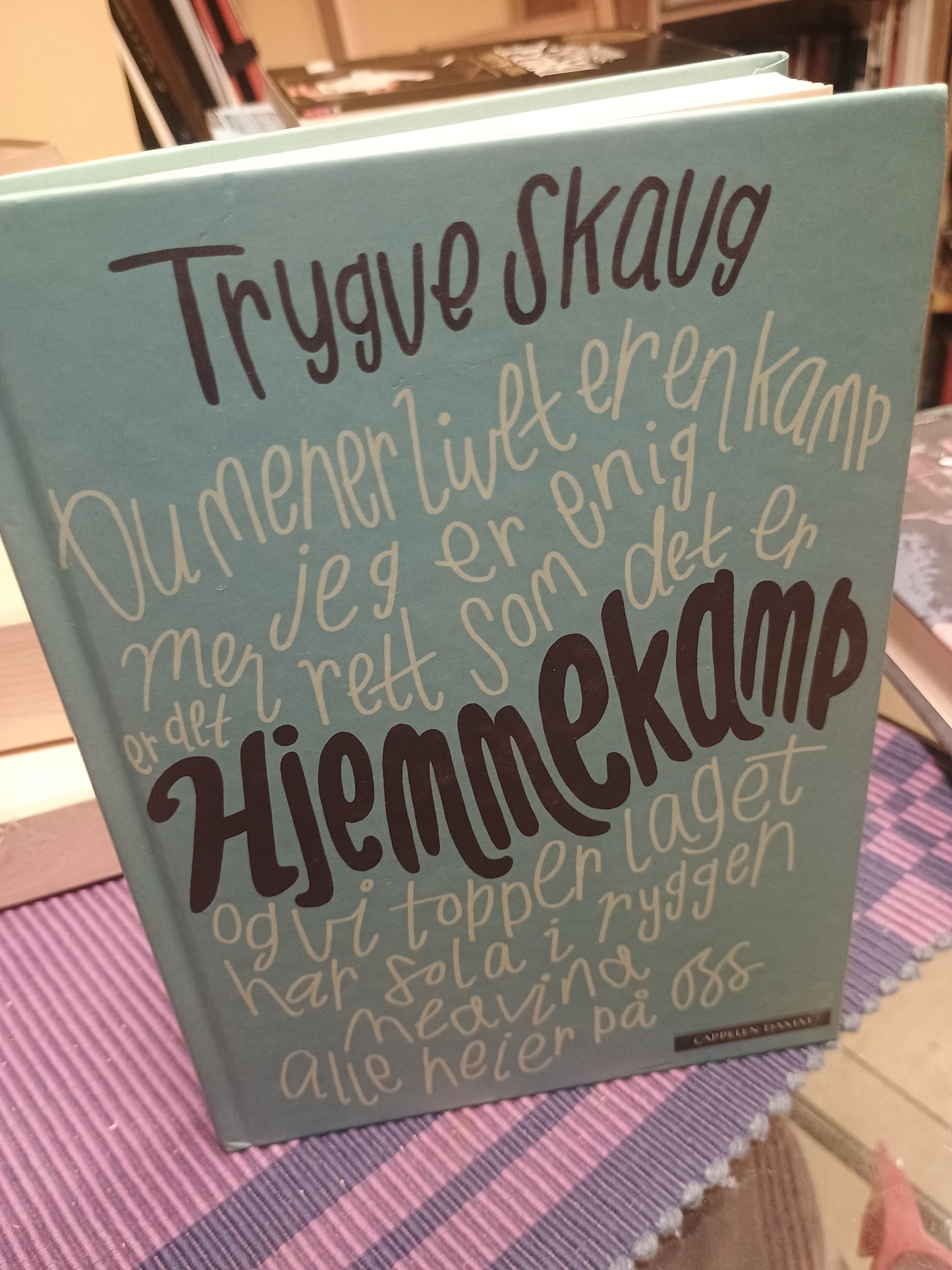 Hjemmekamp: Dikt, Trygve Skaug