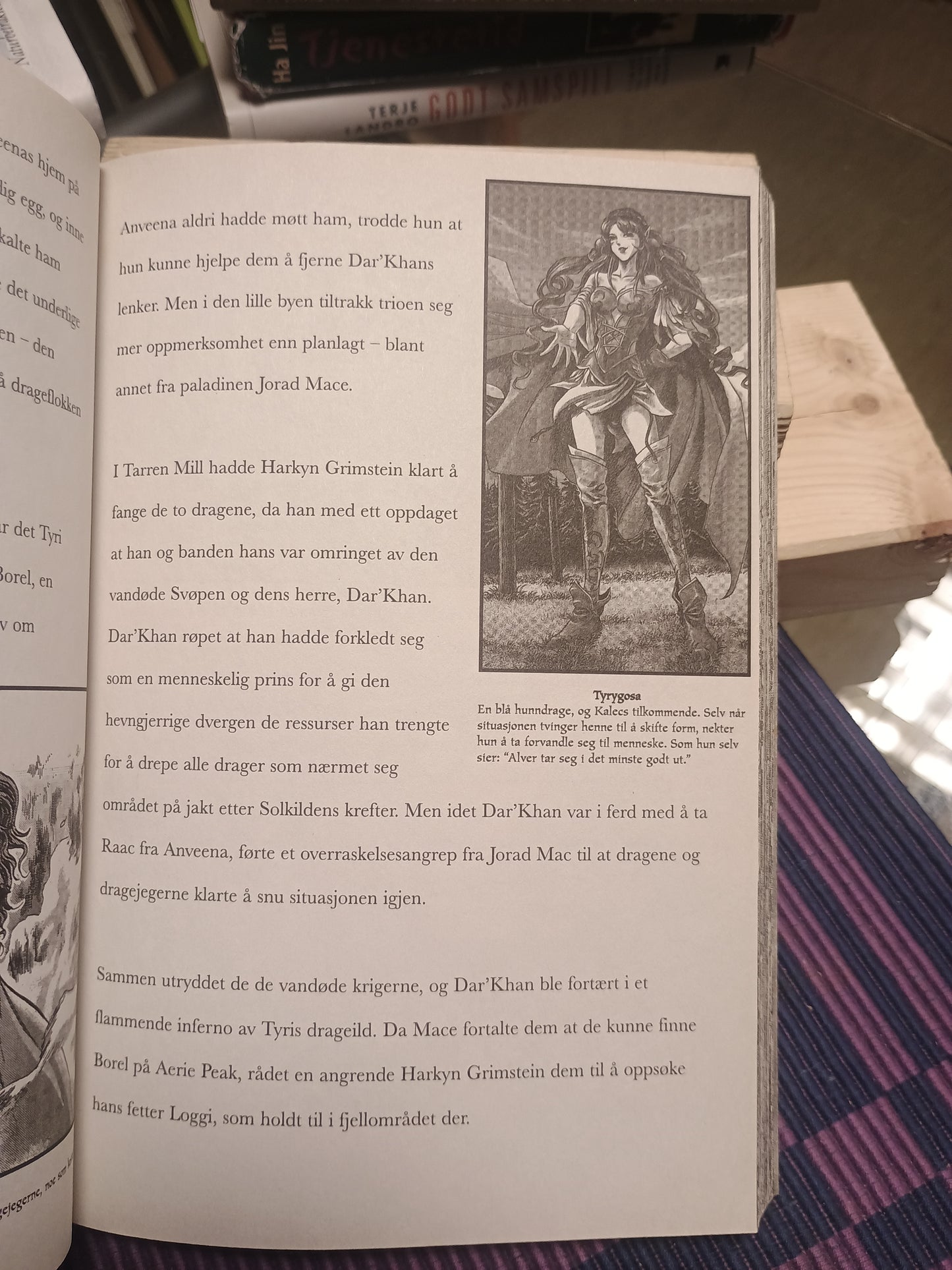Warcraft: Solkildetrilogien, bok 3, Richard Knaak