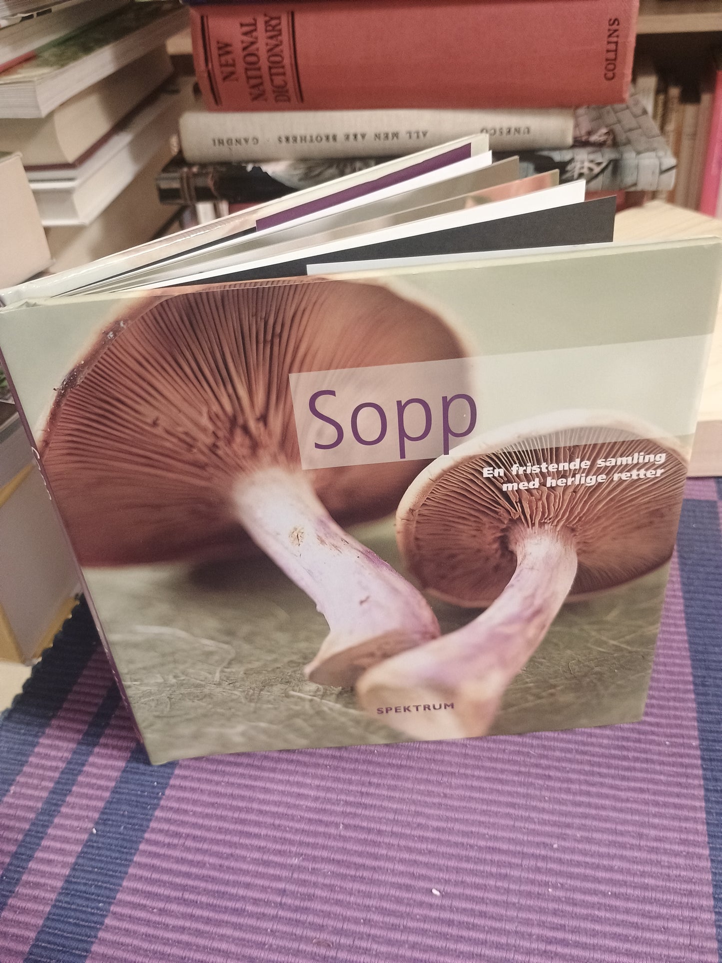 Sopp: En fristende samling med herlige retter, Lesley Mackley