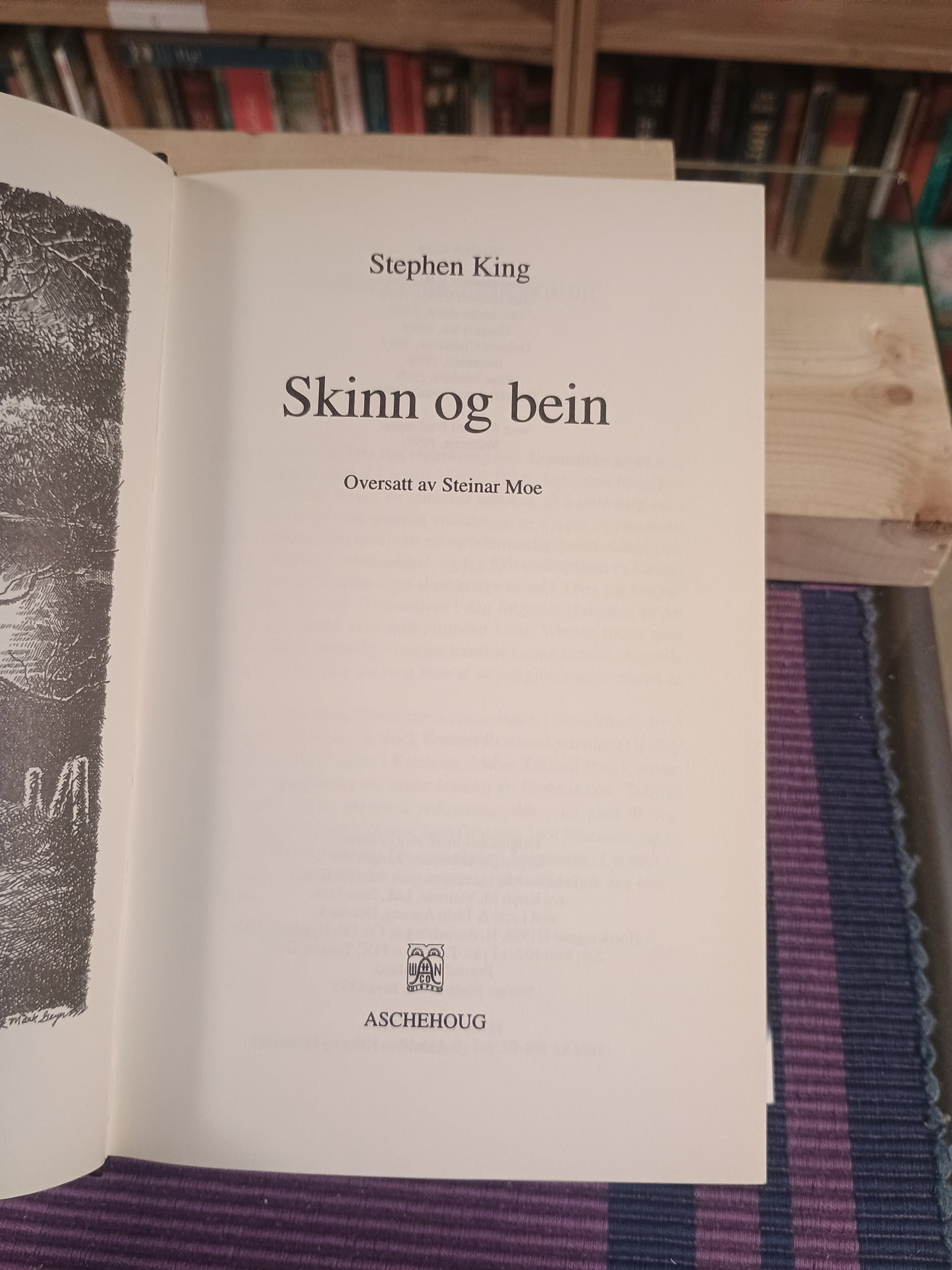 Skinn og bein, Stephen King