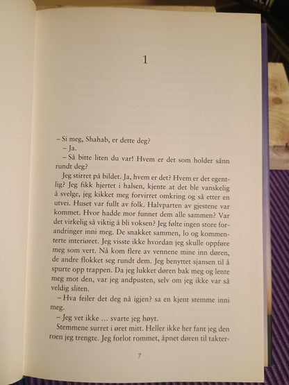 Den stumme gutten, Parinoush Saniee