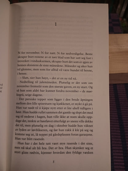 Takk, bare bra, Stian Hjelvin Andersen