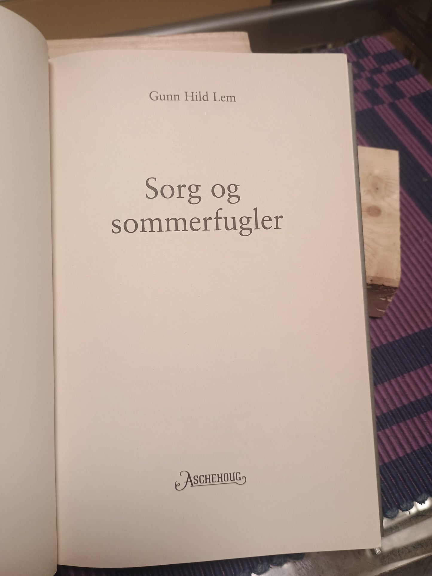 Sorg & sommerfugler. Gunn Hilde Lem