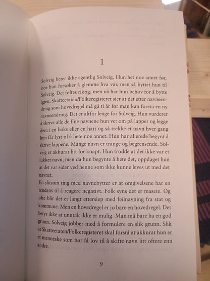 Drømmenes sykkelregister, Erlend Loe