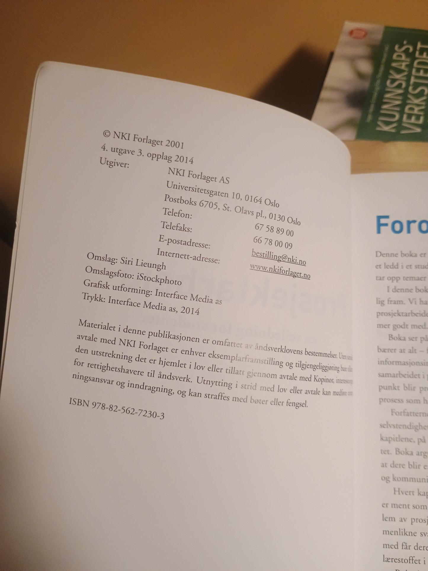 Prosjektarbeid - en veiledning for studenter, Erling S. Andersen og Eva Schwencke