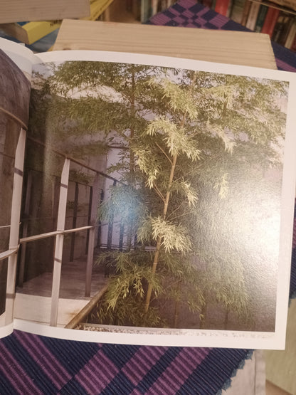 Pocket Gardens: Contemporary Japanese Miniature Designs, Michael Freeman
