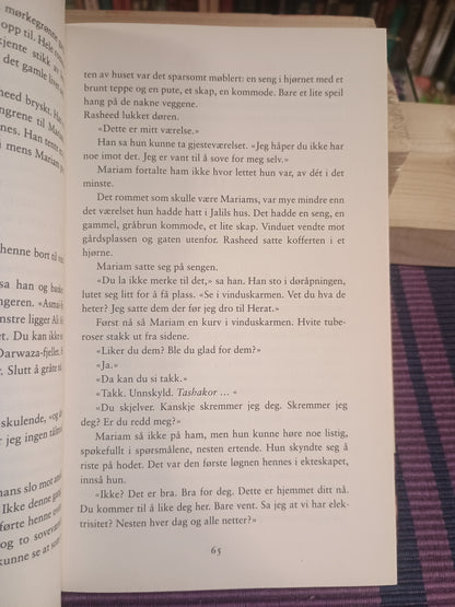 Tusen strålende soler, Khaled Hosseini