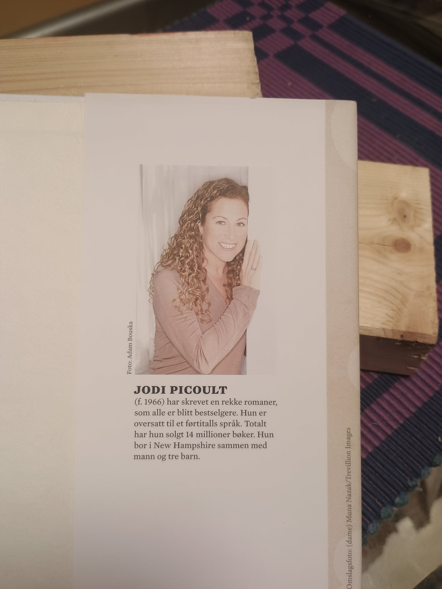 Historiefortelleren, Jodi Picoult