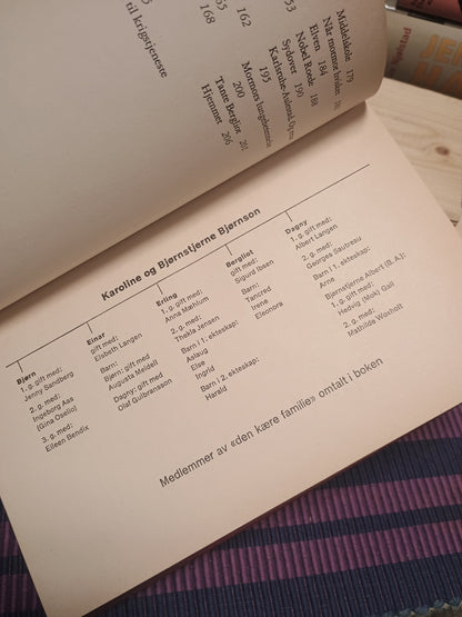 Aulestad tur-retur, B. A. Bjørnson-Langen