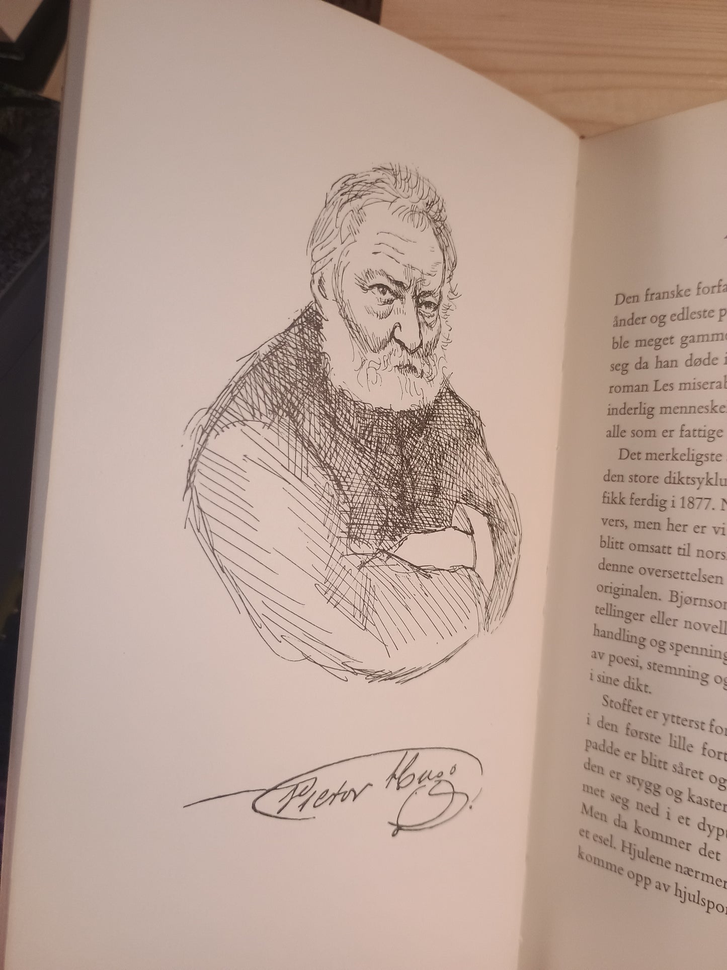 Evige venner: klassisk litteratur i et nøtteskall, Eugenia Kielland