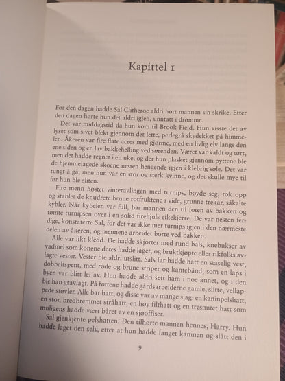 Lysets rustning, Ken Follett