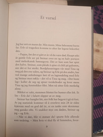 Sorg & sommerfugler. Gunn Hilde Lem