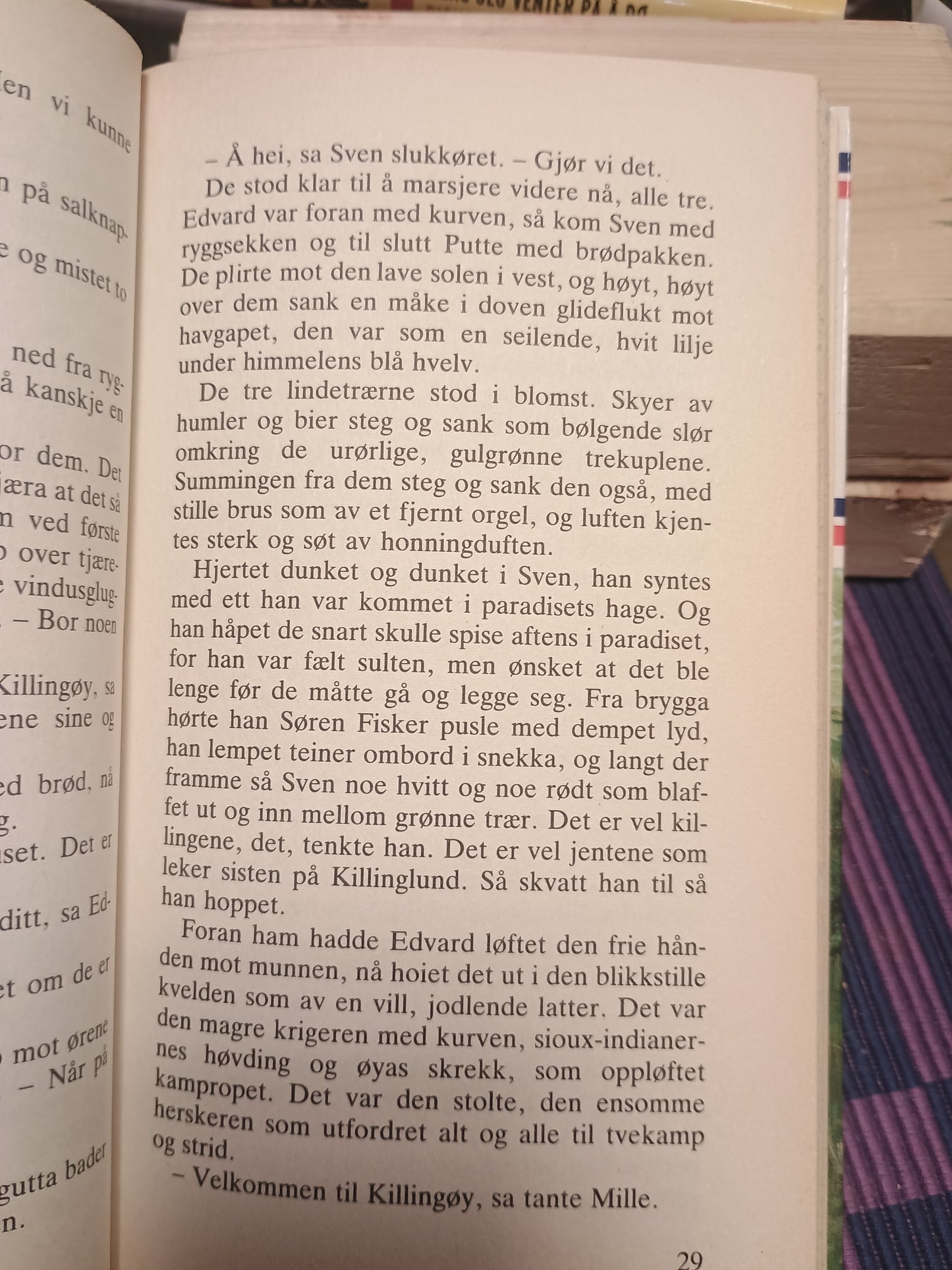Den ensomme kriger, Finn Havrevold