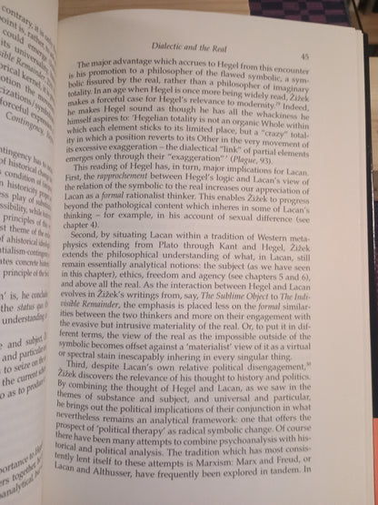 Zizek: A Critical Introduction, Sarah Kay