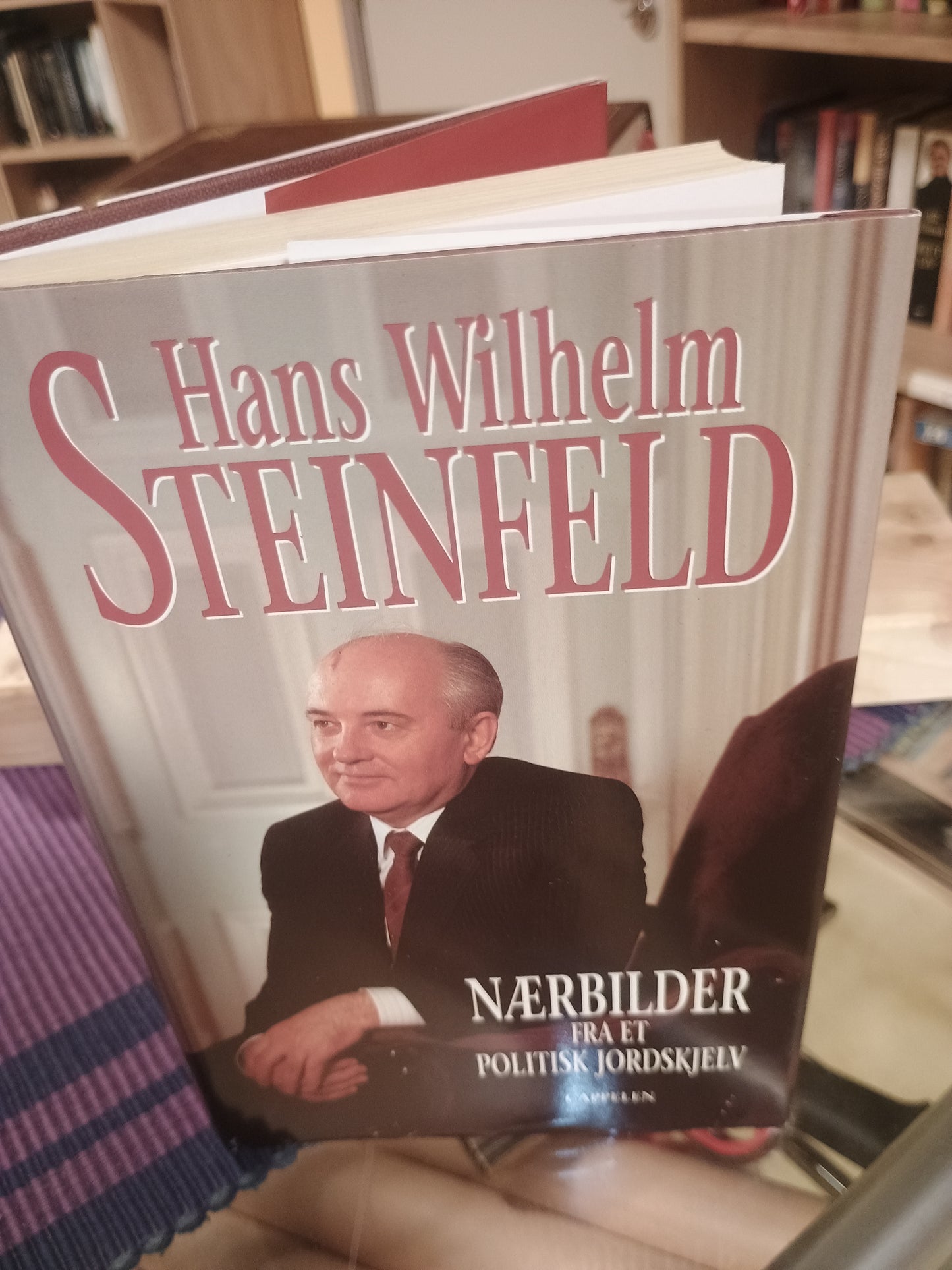 Nærbilder fra et politisk jordskjelv, Hans Wilhelm Steinfeld