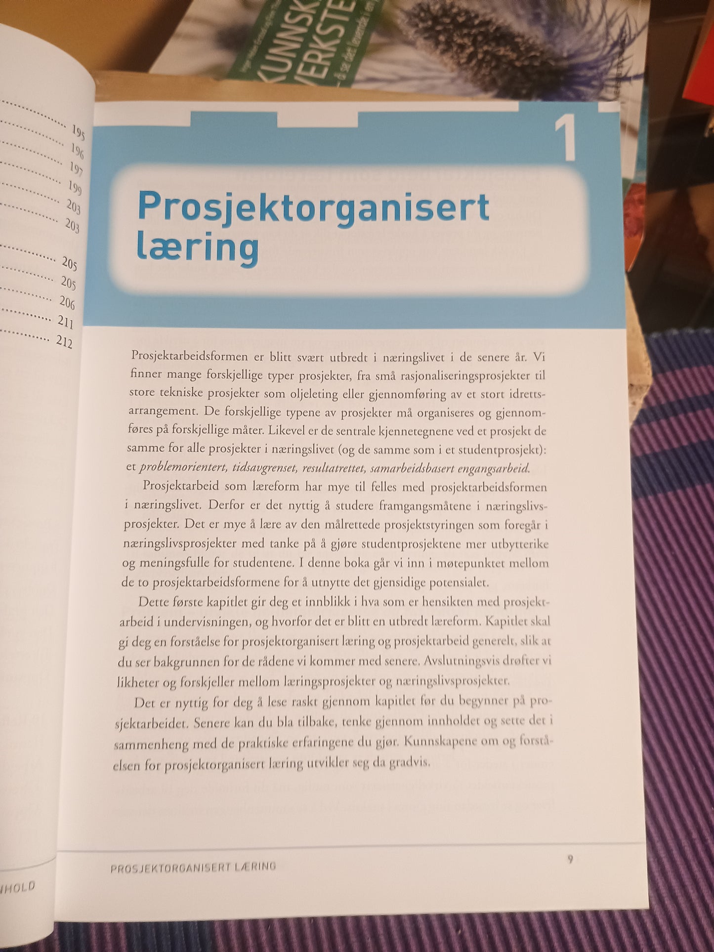 Prosjektarbeid - en veiledning for studenter, Erling S. Andersen og Eva Schwencke