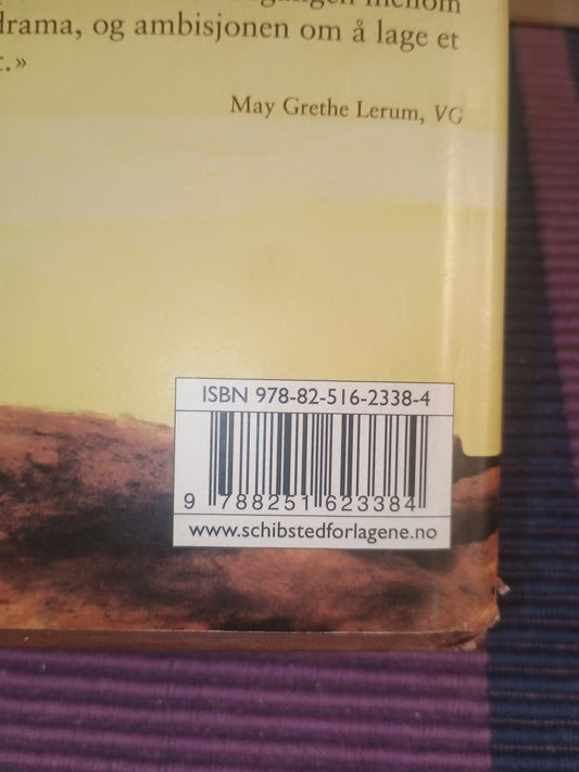 Tusen strålende soler, Khaled Hosseini