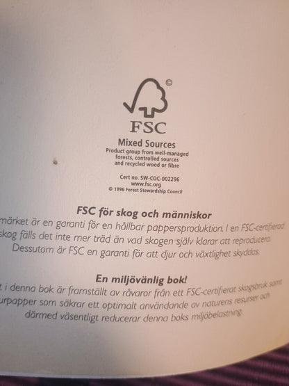 Alexander: Vid världens ände, Valerio Massimo Manfredi