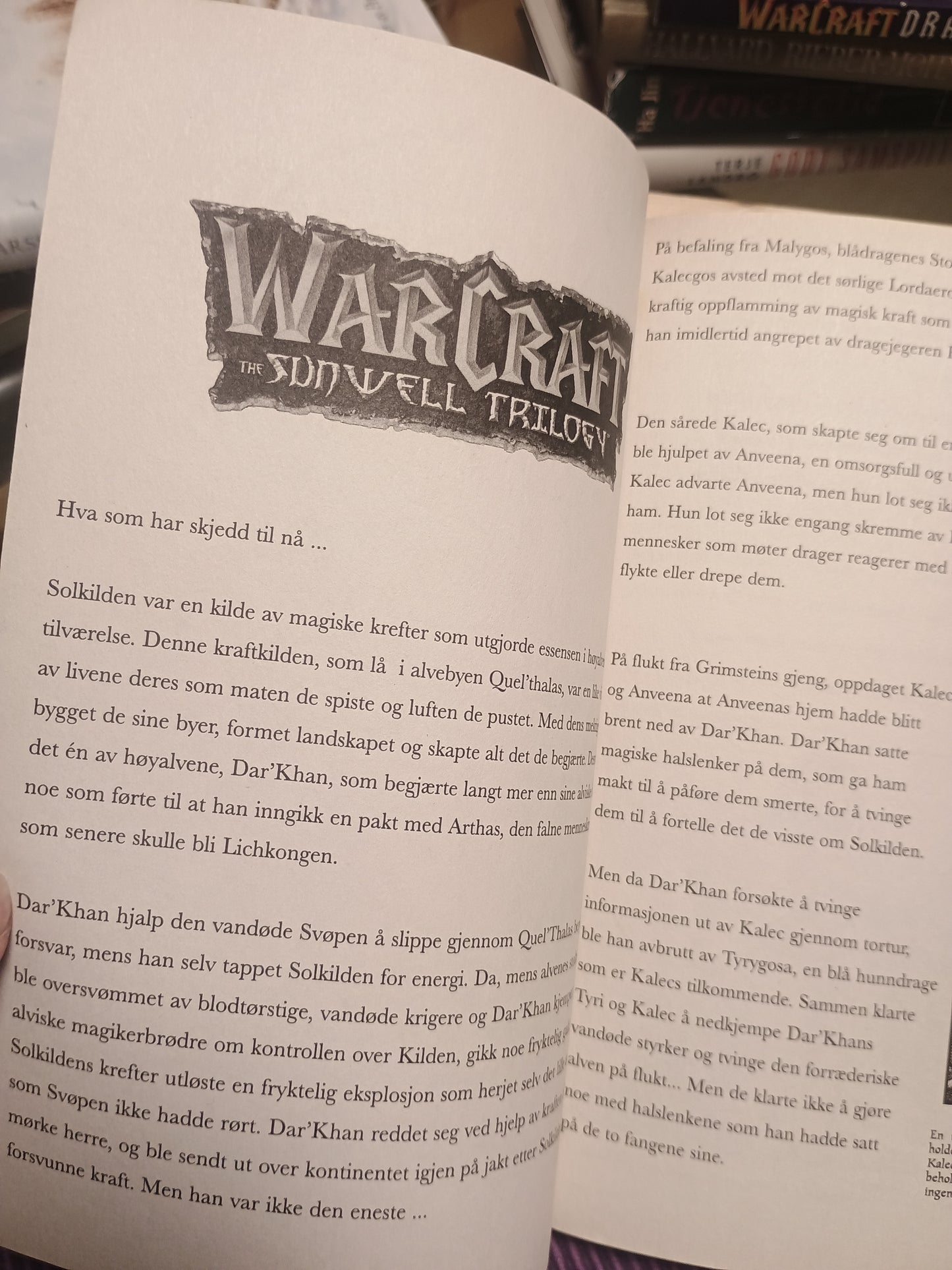 Warcraft: Solkildetrilogien, bok 3, Richard Knaak