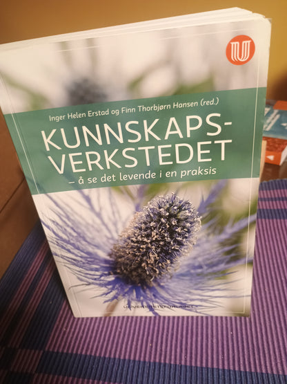 Kunnskapsverkstedet, Inger H. Erstad og Finn T. Hansen