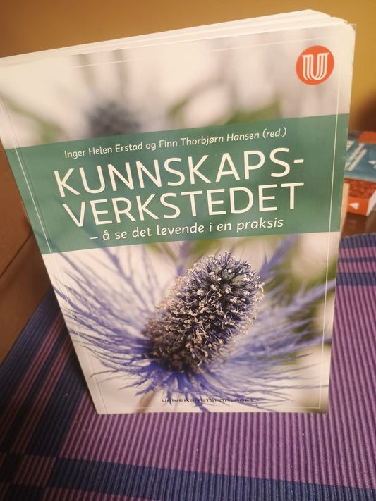 Kunnskapsverkstedet, Inger H. Erstad og Finn T. Hansen