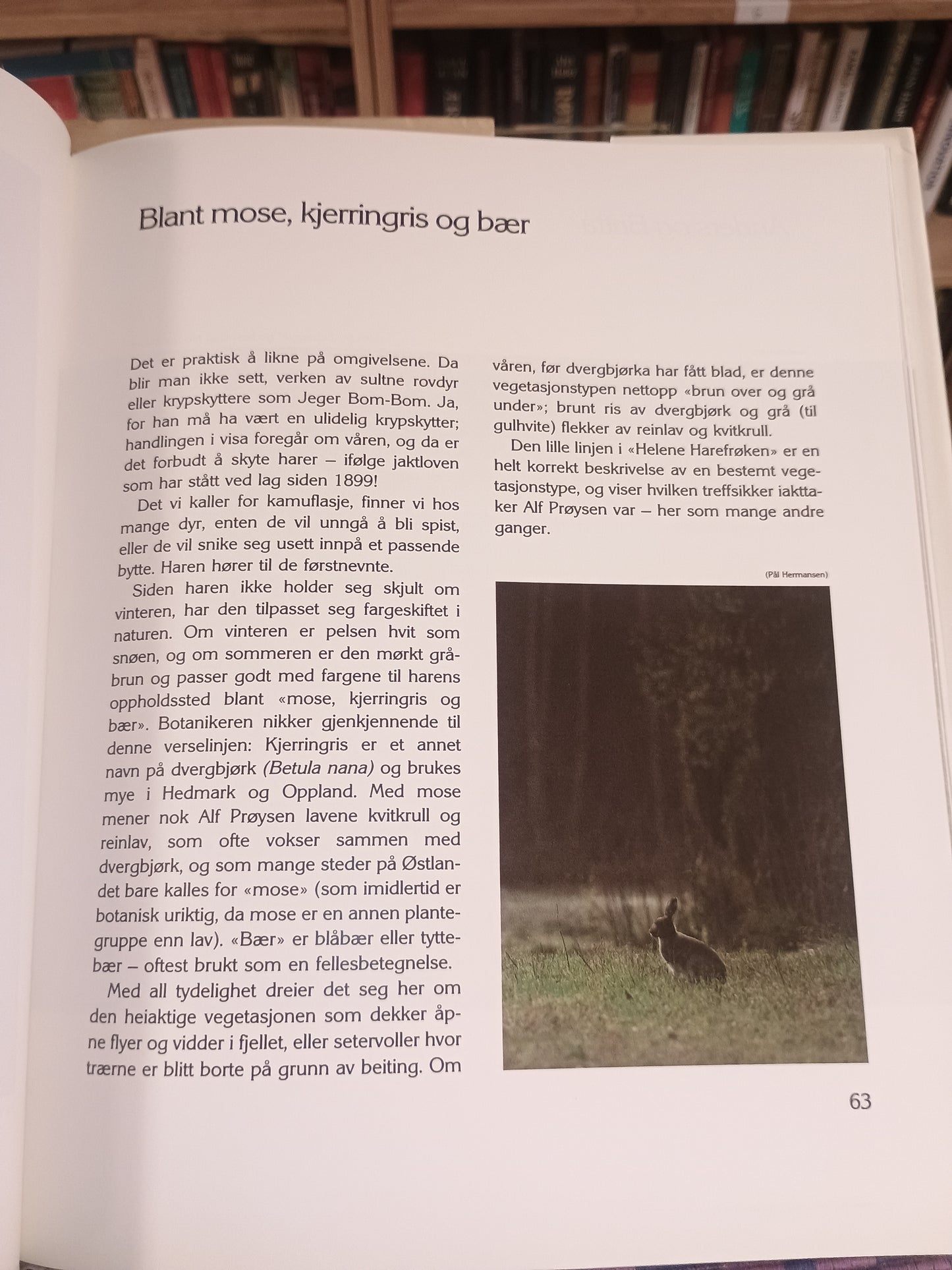 Finn et strå og træ dom på: Alf Prøysens blomster og planter i dikt og bilder, Klaus Høiland