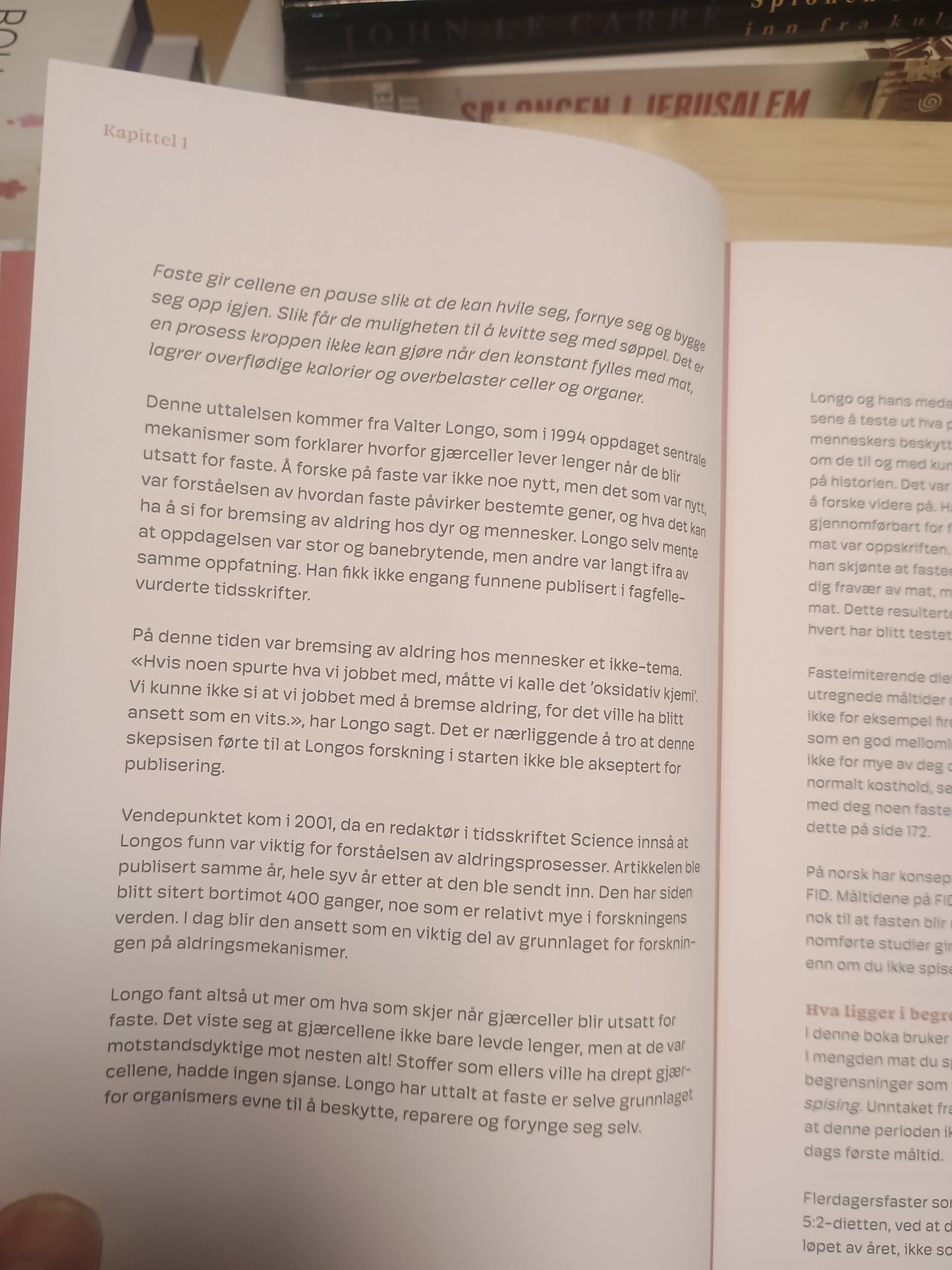 Femdagers nullstilling; Forny kroppen innenfra med spisende faste, Inge Lindseth og Susan Stave