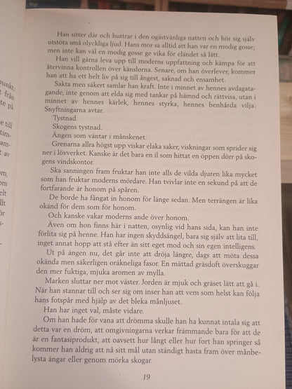 Himlen är nära, Dean Koontz