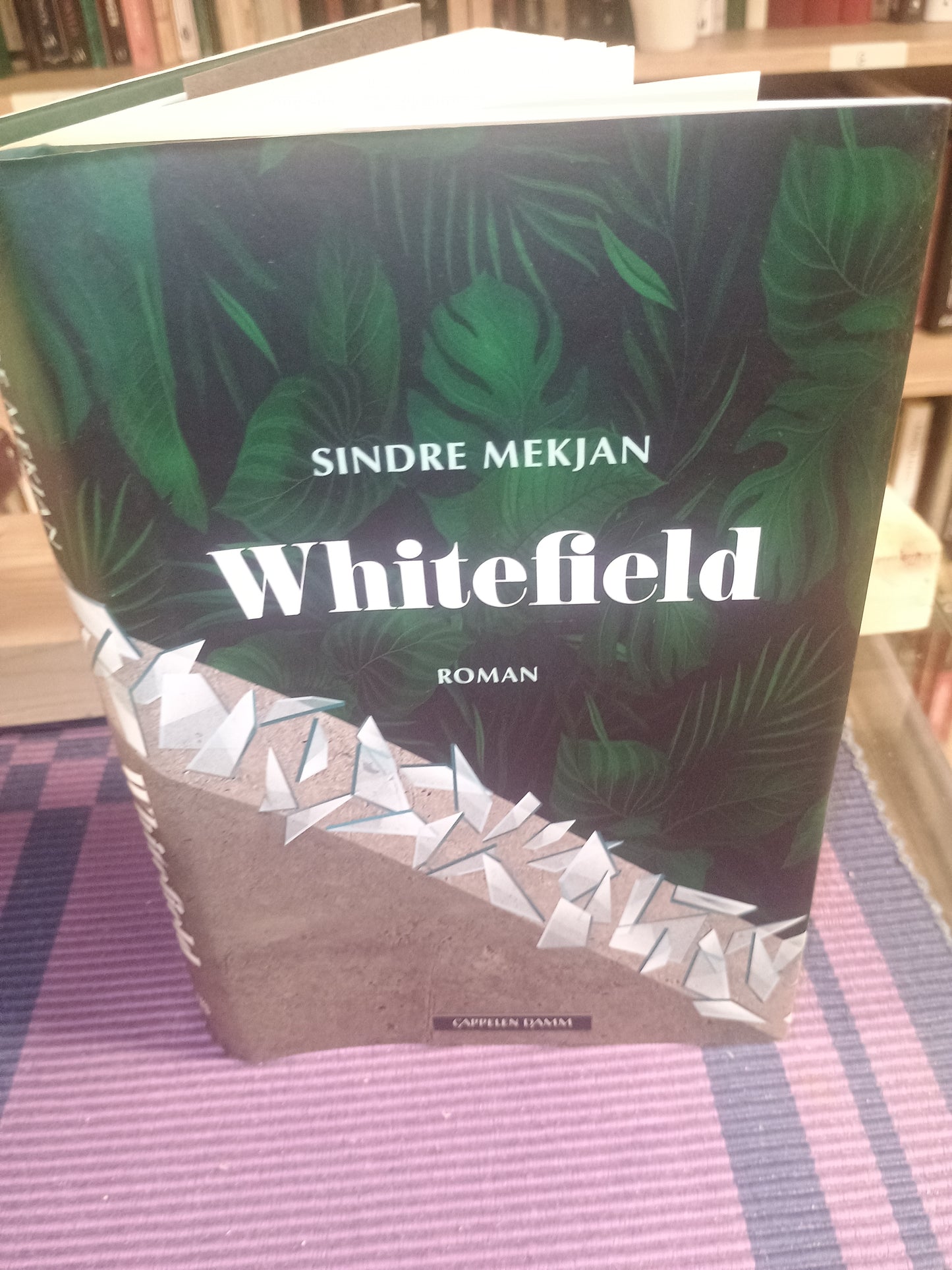 Whitefield, Sindre Mekjan