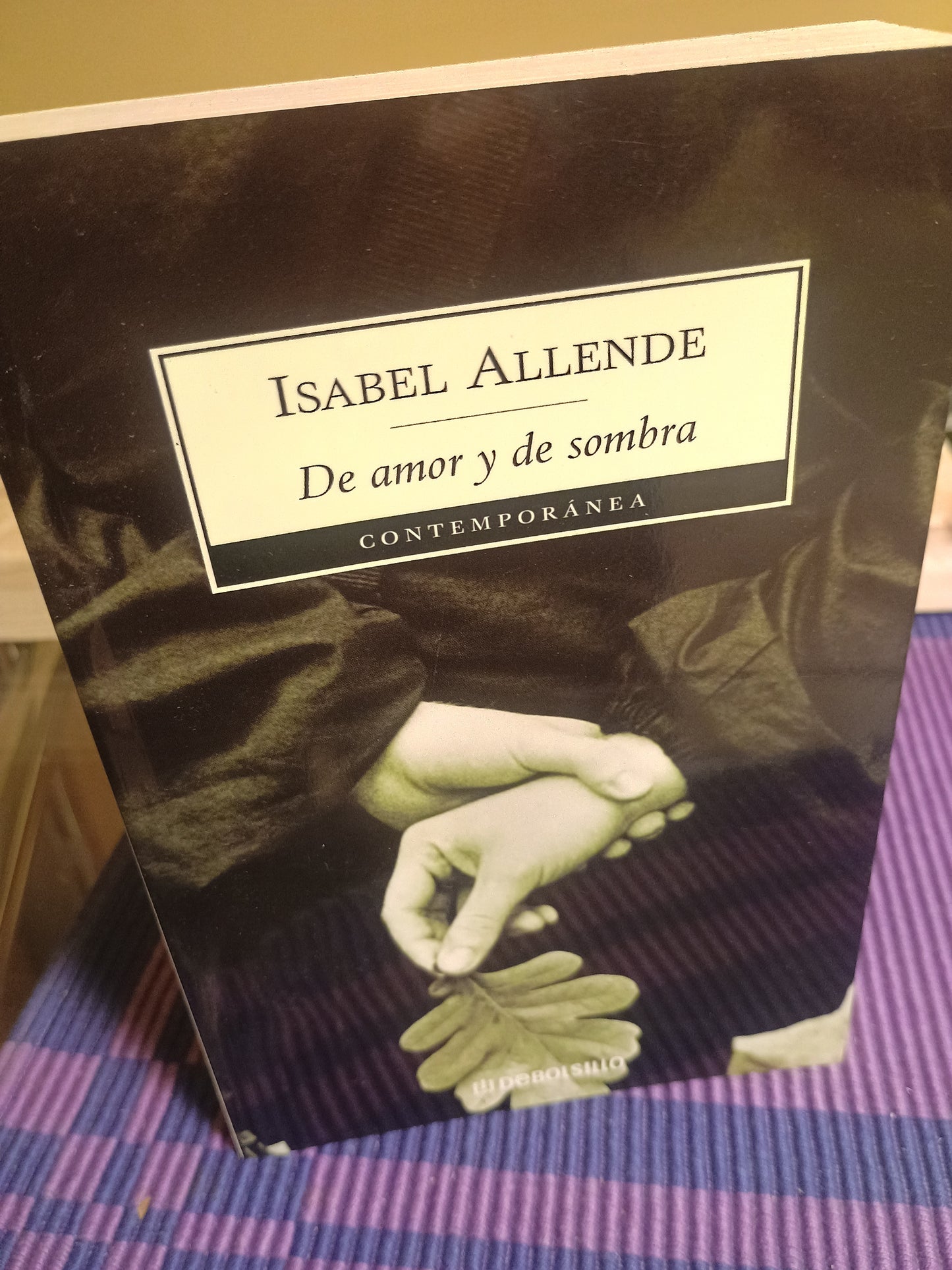 De amor y de sombra, Isabel Allende