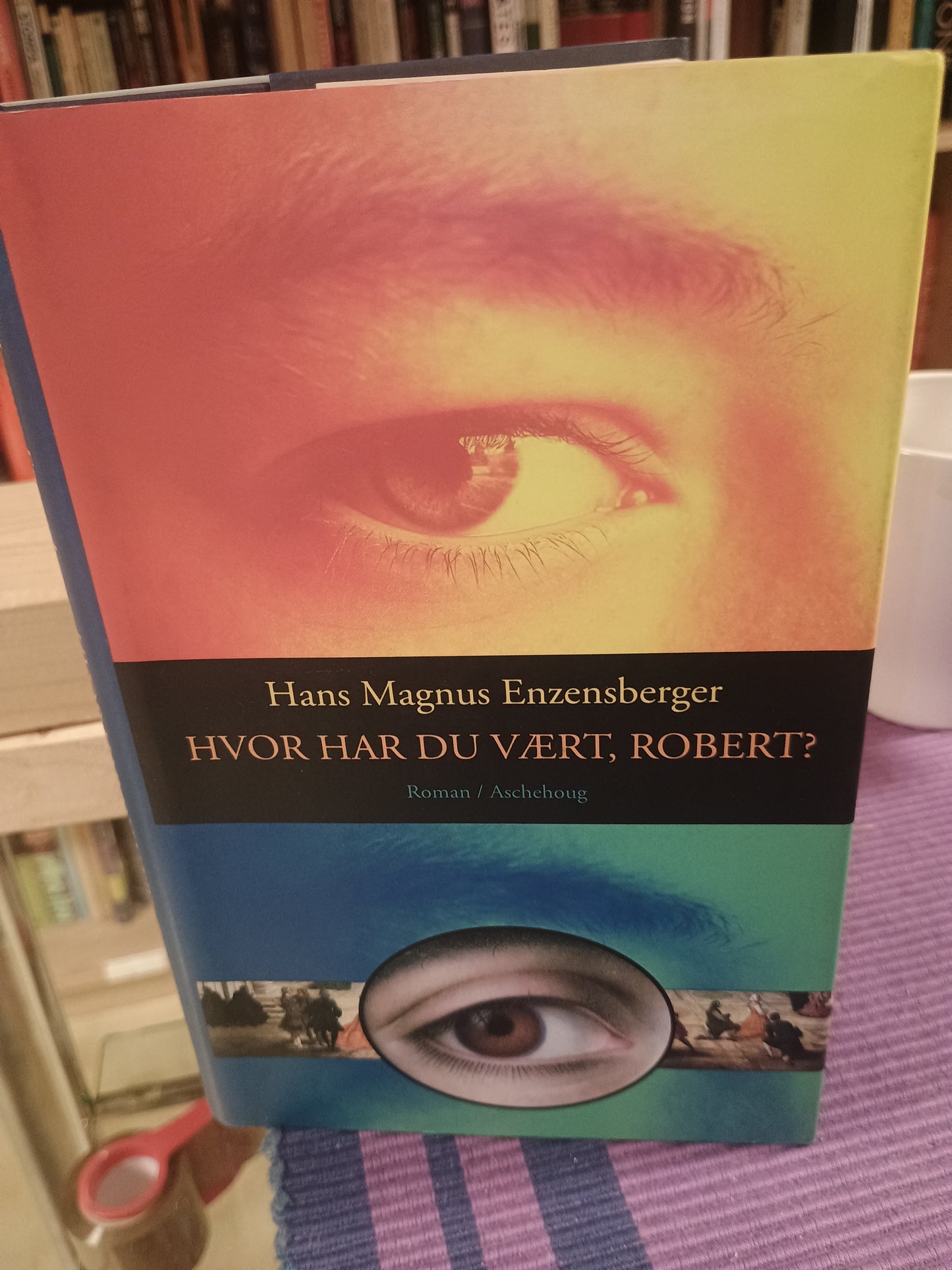 Hvor har du vært, Robert?, Hans Magnus Enzensberger