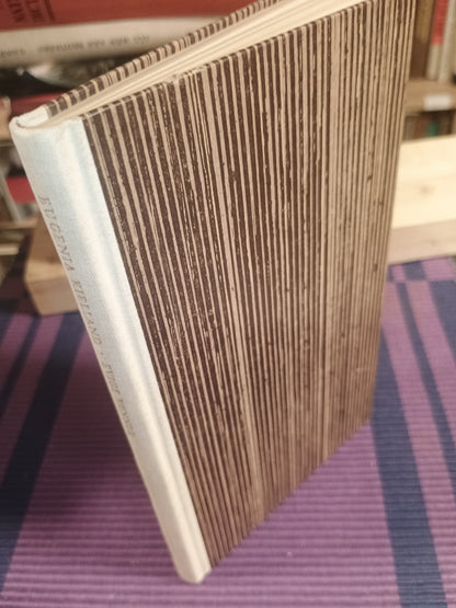 Evige venner: klassisk litteratur i et nøtteskall, Eugenia Kielland