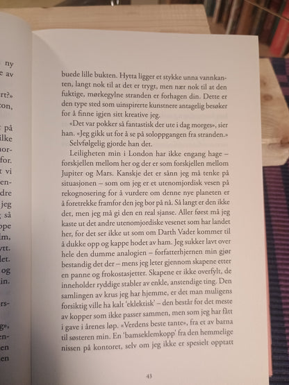 En kveld på øya, Josie Silver