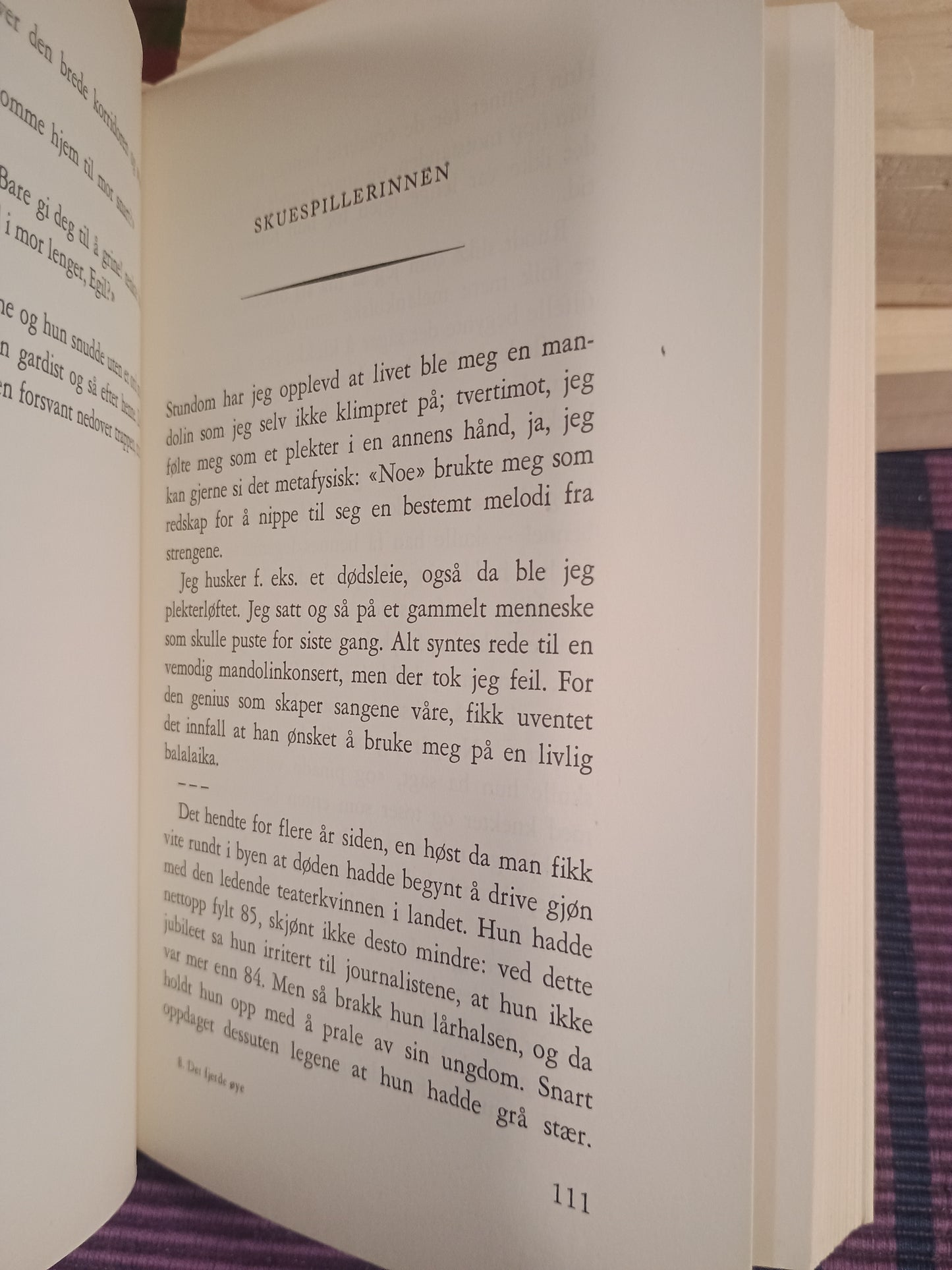 Det fjerde øye: Flaneringer og fortellinger, Odd Eidem