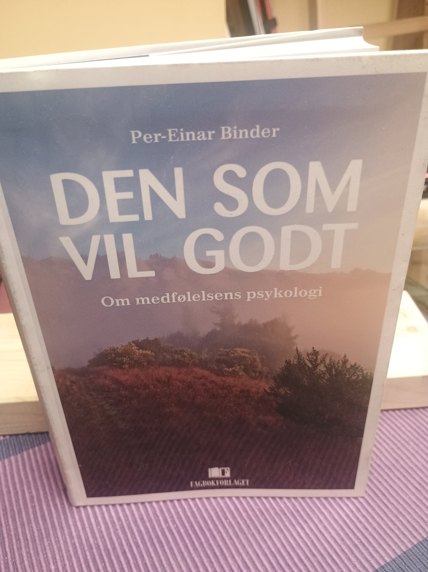 Den som vil godt: Om medfølelsens psykologi, Per-Einar Binder