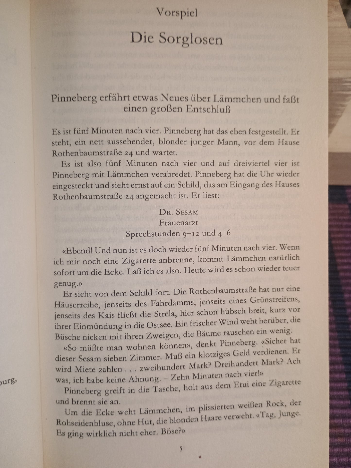 Kleiner Mann - was nun?, Hans Fallada