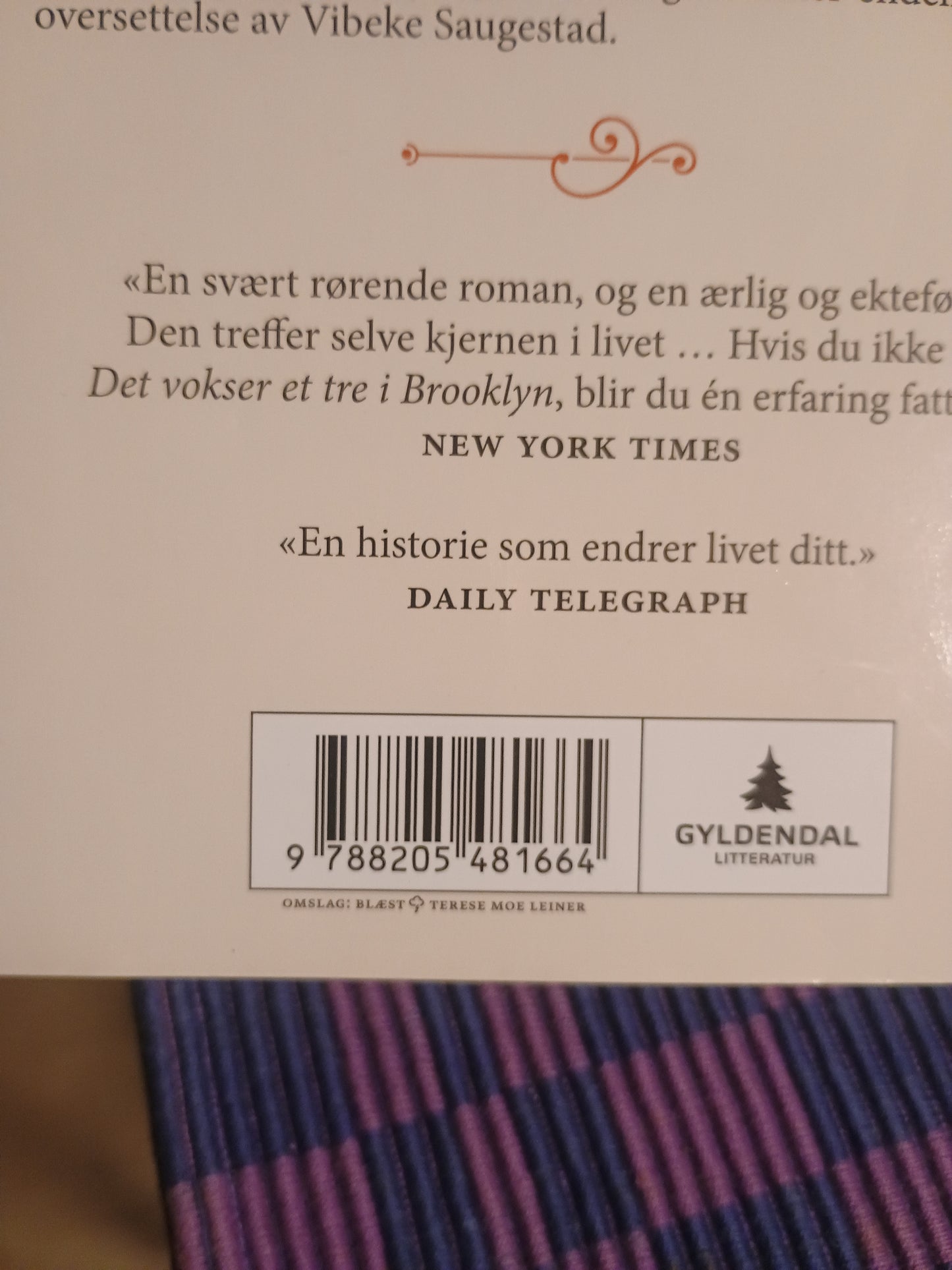 Det vokser et tre i Brooklyn, Betty Smith