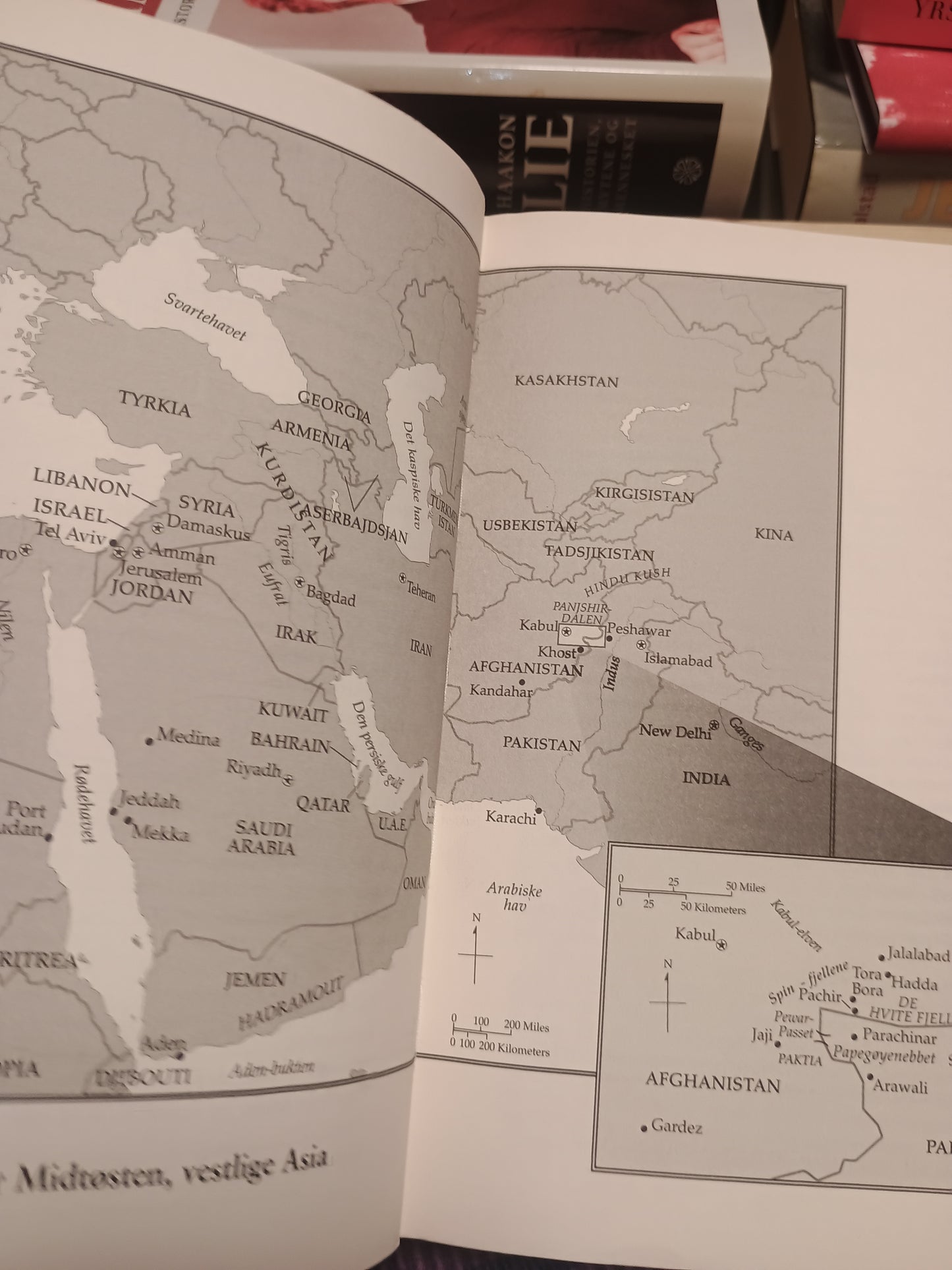 AL Qaida og veien til 11. september, Lawrence Wright