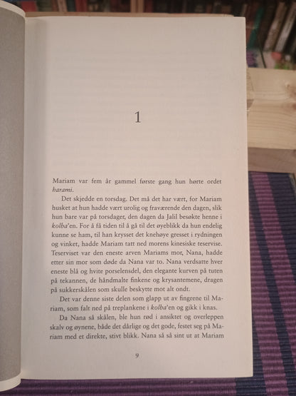 Tusen strålende soler, Khaled Hosseini