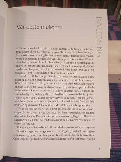 På finanskrisens slagmark, Svein Harald Øygard