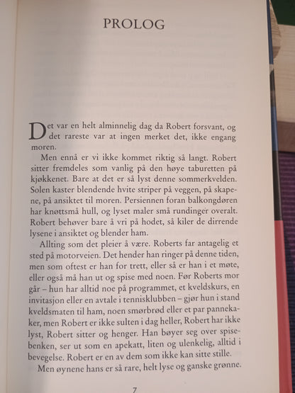 Hvor har du vært, Robert?, Hans Magnus Enzensberger