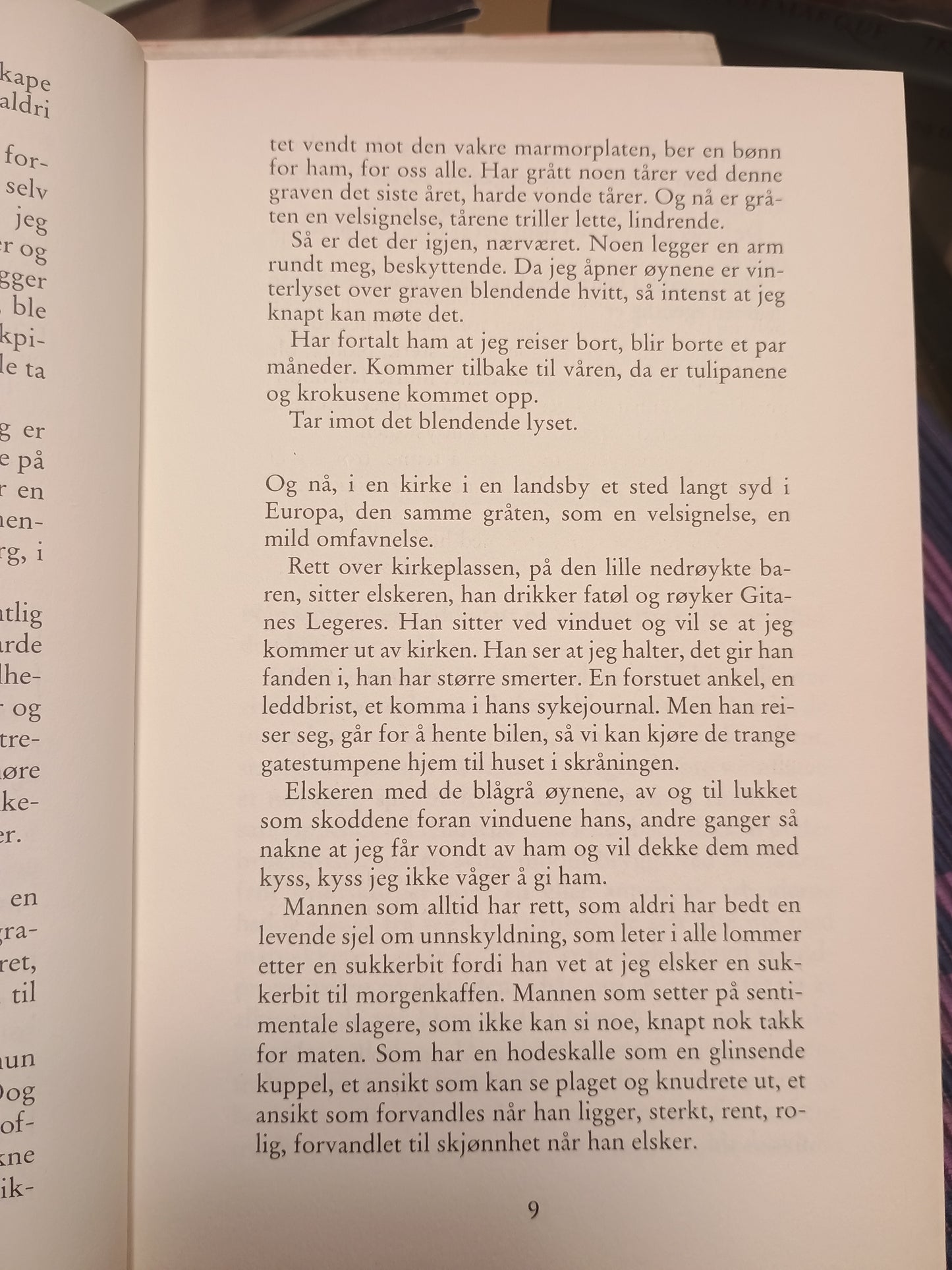 Roser i et sprukket krus, Bjørg Vik