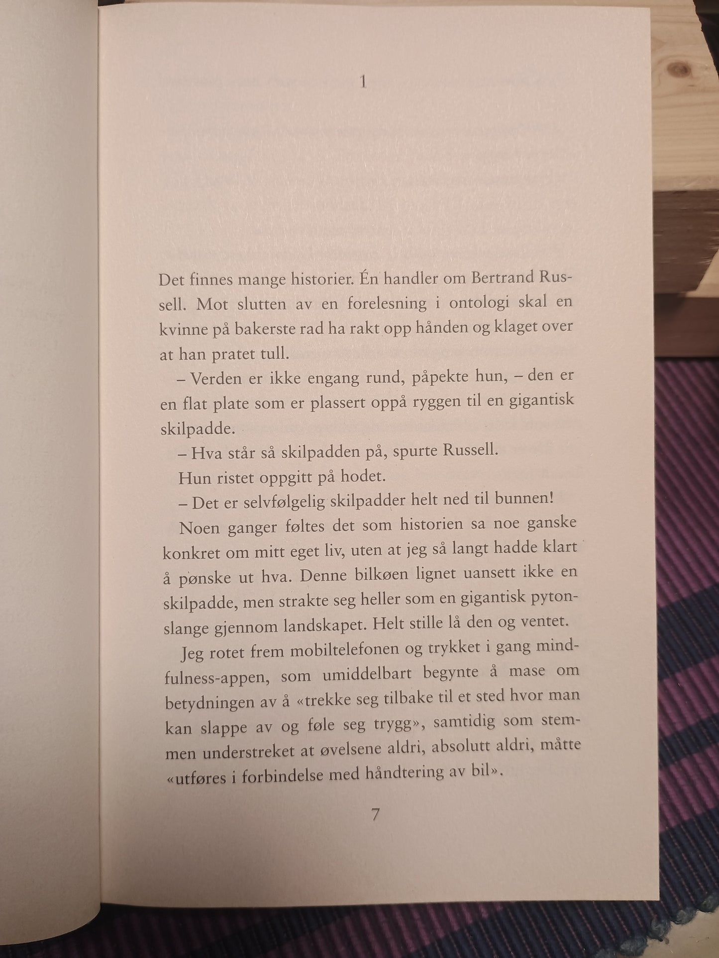 Winter i verdens rikeste land, Janne S. Drangsholt