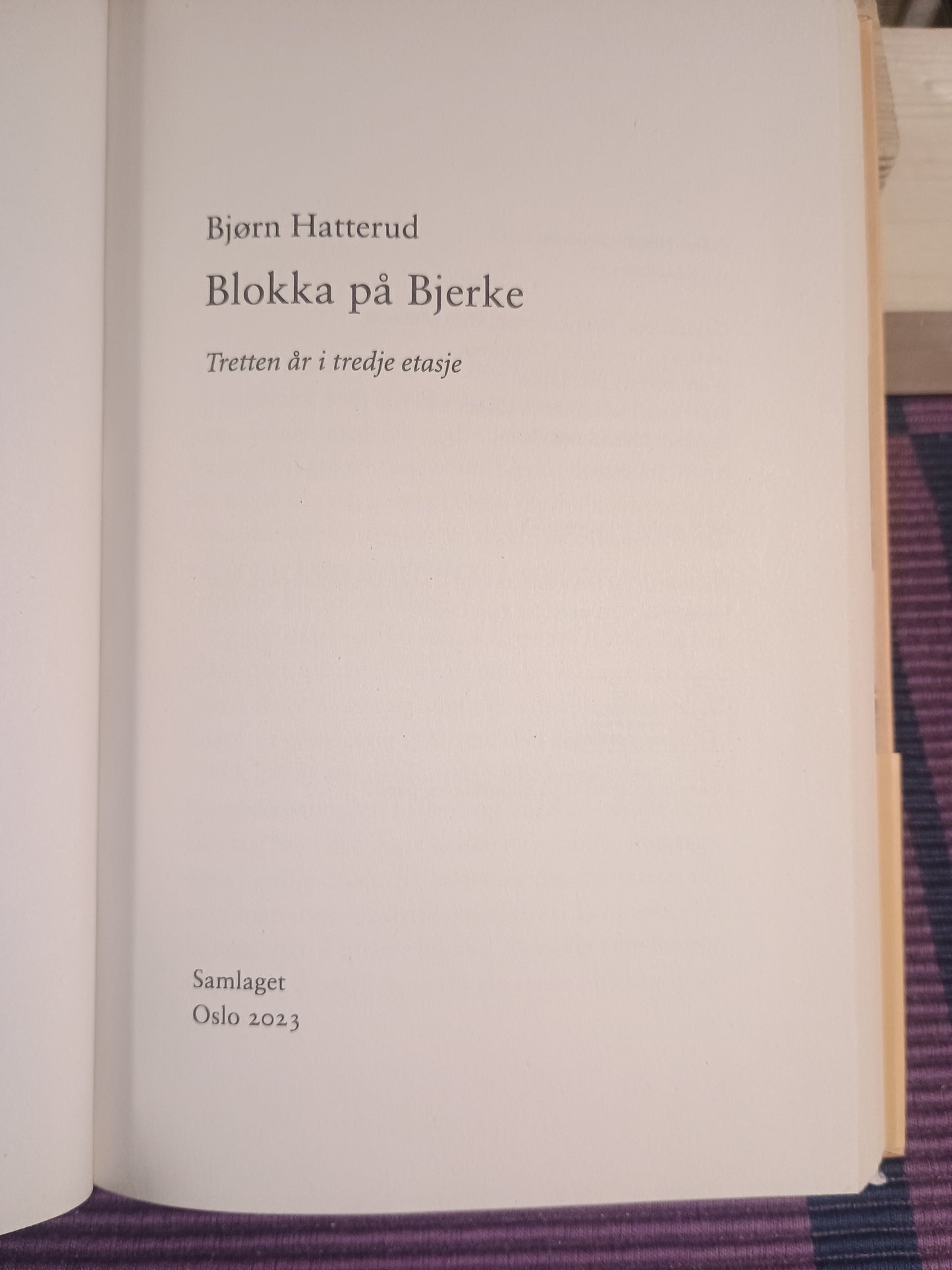 Blokka på Bjerke: Tretten år i tredje etasje, Bjørn Hatterud