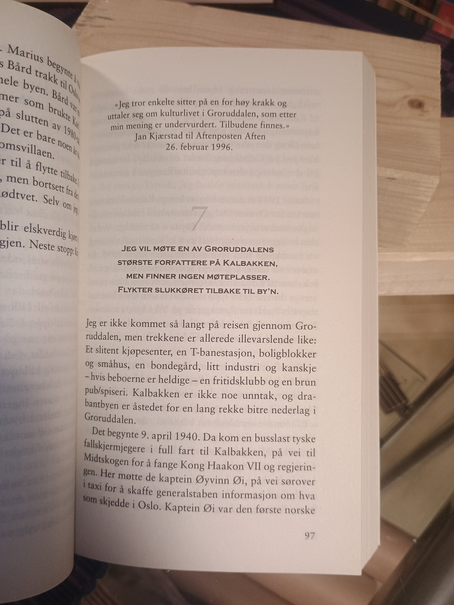 Groruddalen: En reiseskildring, Øyvind Holen