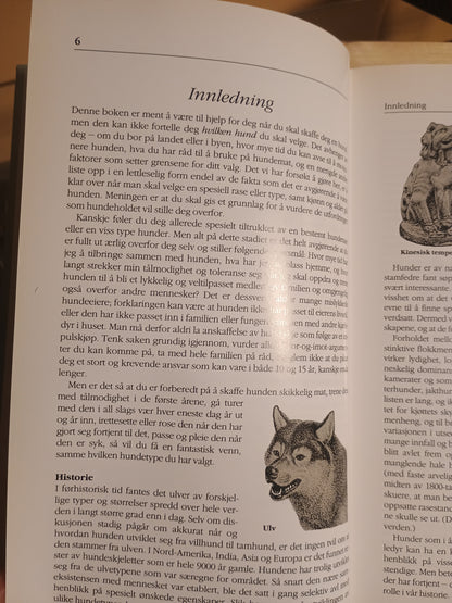 Hunderaser, Susan Egerton-Jones