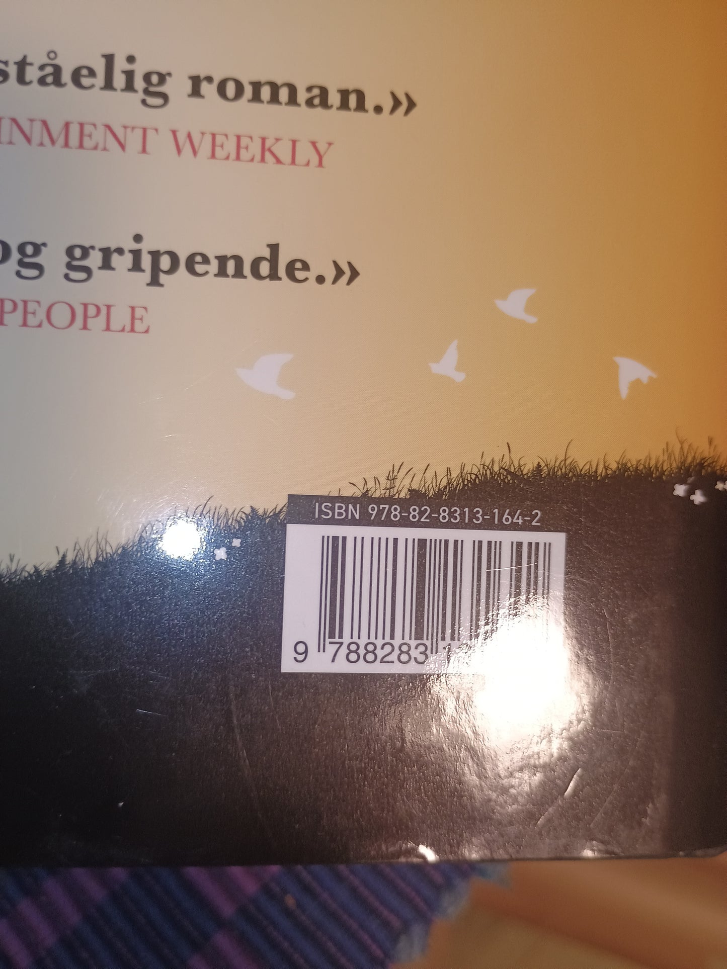 Jenta som ble igjen, Jojo Moyes
