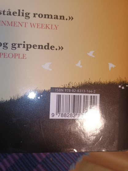 Jenta som ble igjen, Jojo Moyes
