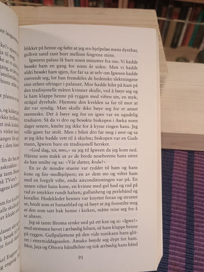 Dyprød hibiskus, Chimamanda Ngozi Adichie